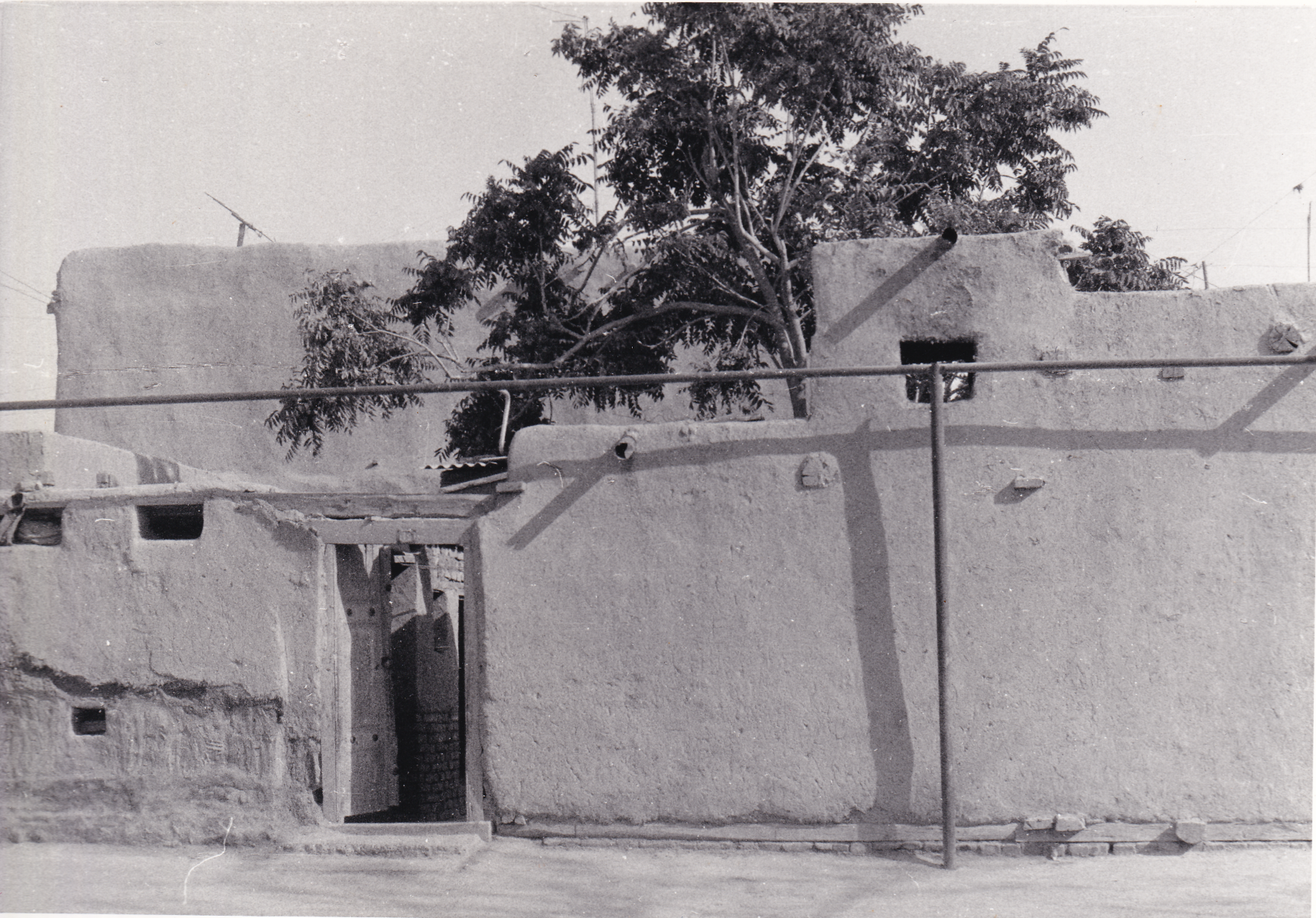 Buchara-20a Buchara-20a